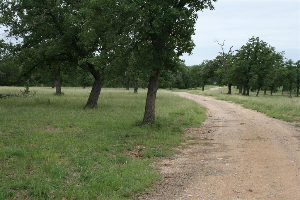 2701 Live Oak Road Santo, TX 76472 - Photo 5 of 39 Road and Trees