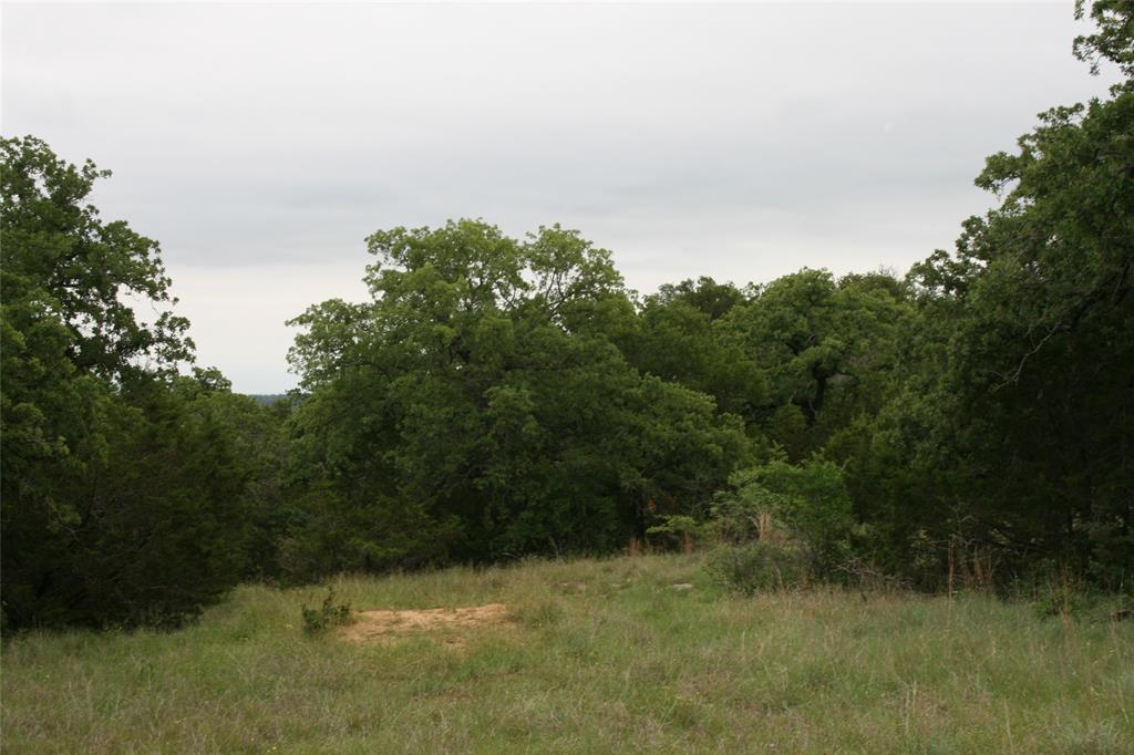 2701 Live Oak Road Santo, TX 76472 - Photo 6 of 39 Many Trees