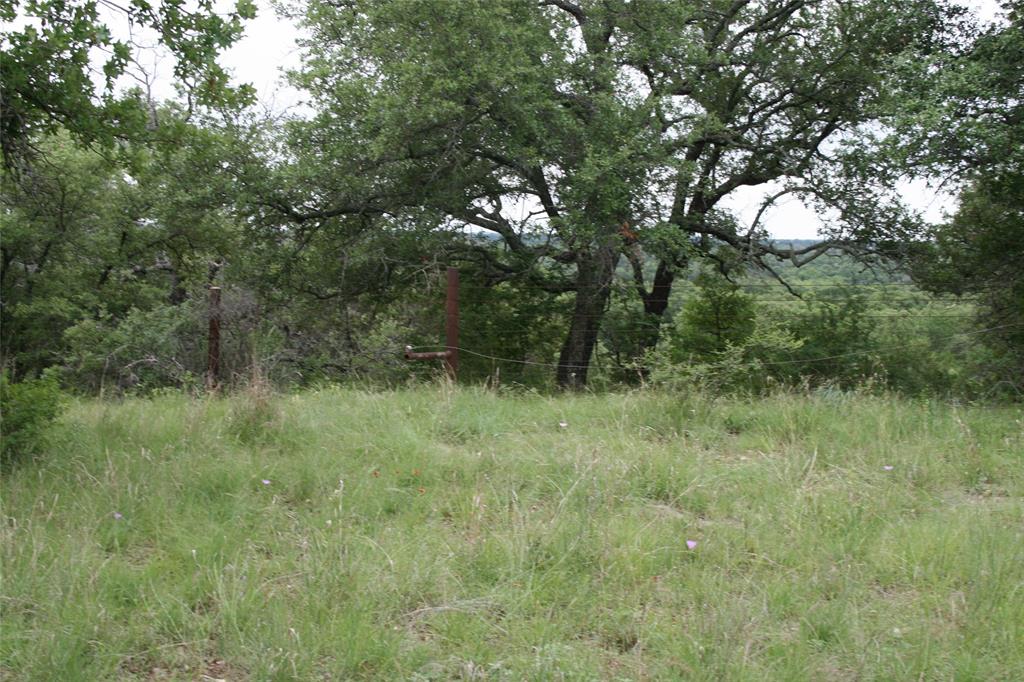 2701 Live Oak Road Santo, TX 76472 - Photo 7 of 39 Back