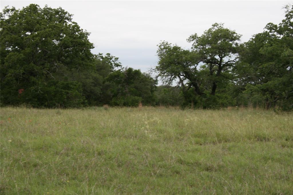 2701 Live Oak Road Santo, TX 76472 - Photo 8 of 39 Open