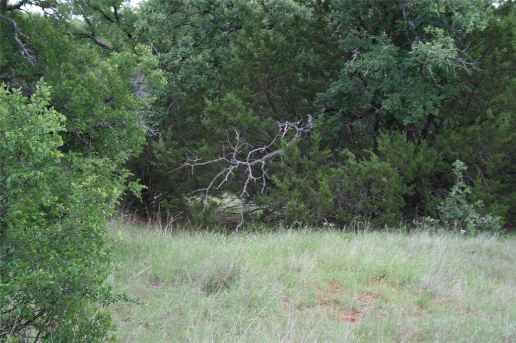 2701 Live Oak Road Santo, TX 76472 - Photo 9 of 39 Open Areas