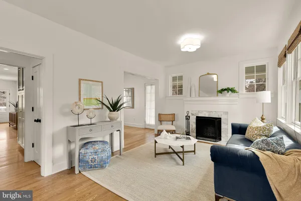 a living room with furniture a fireplace and a potted plant