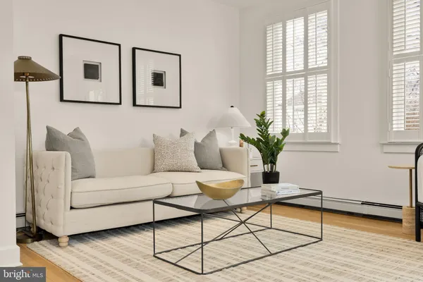 a living room with furniture and a potted plant