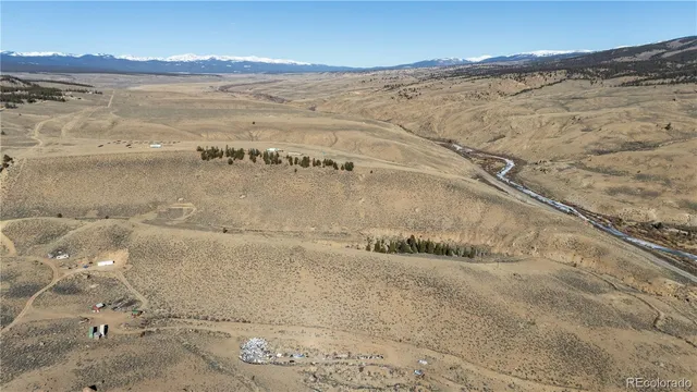 a view of a dry yard with trees