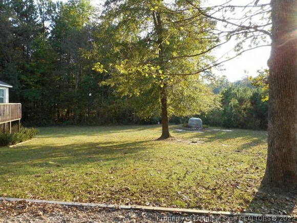 4483 Sugar Maple Road Sanford, NC 27332 - Photo 3 of 23 Gallery Image 3