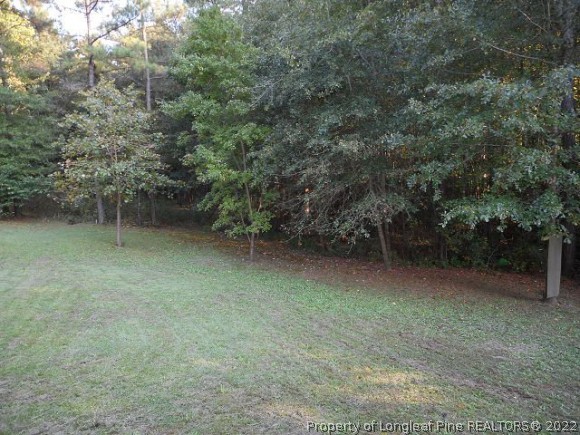 4483 Sugar Maple Road Sanford, NC 27332 - Photo 5 of 23 Gallery Image 5