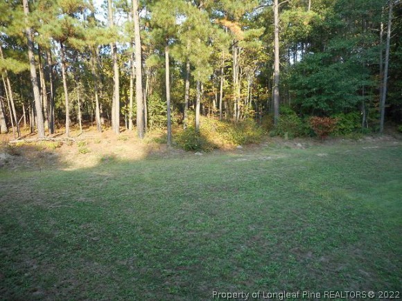 4483 Sugar Maple Road Sanford, NC 27332 - Photo 6 of 23 Gallery Image 6