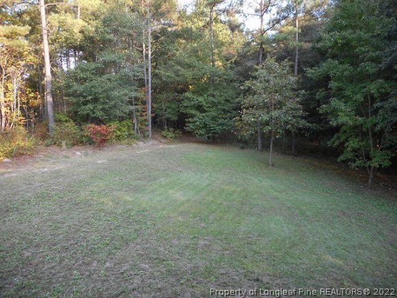4483 Sugar Maple Road Sanford, NC 27332 - Photo 7 of 23 Gallery Image 7