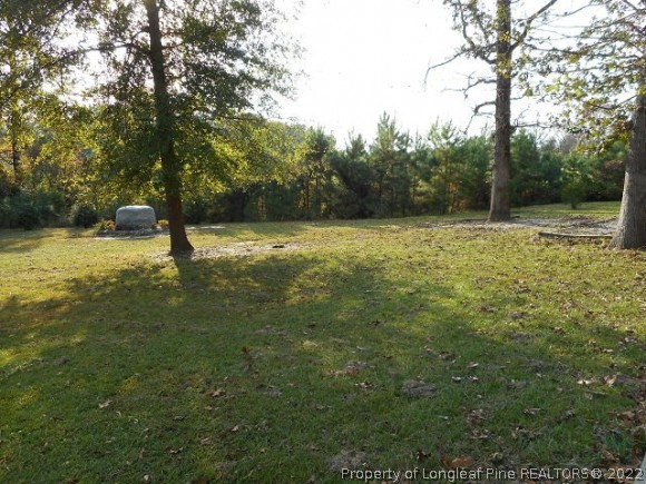 4483 Sugar Maple Road Sanford, NC 27332 - Photo 9 of 23 Gallery Image 9