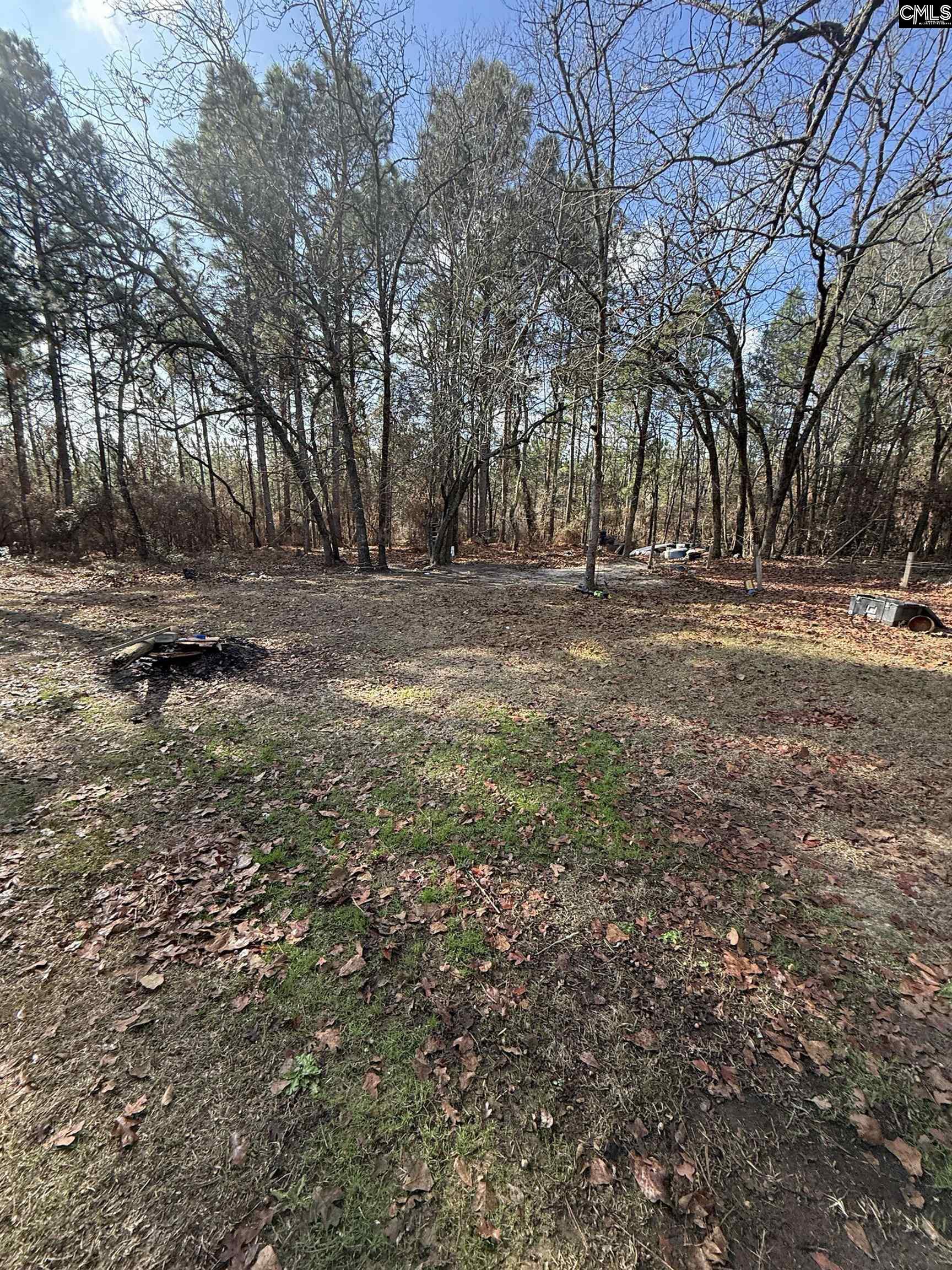 1225 Charles Town Road Leesville, SC 29070 - Photo 4 of 6