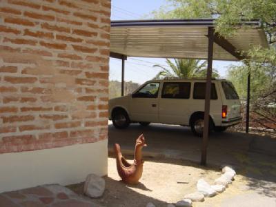101 West Old Ina Road Tucson, AZ 85704 - Photo 14 of 15 Gallery Image 14