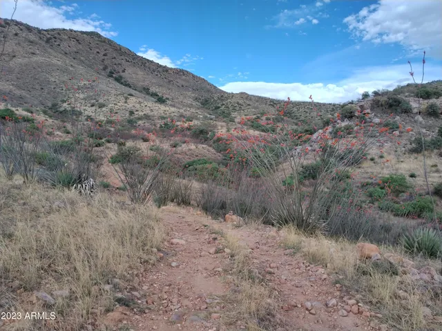a view of a dry field