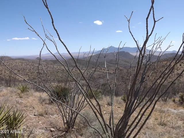 a view of a dry yard with mountains in the background