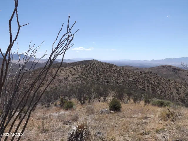 a yard with a sink and a yard