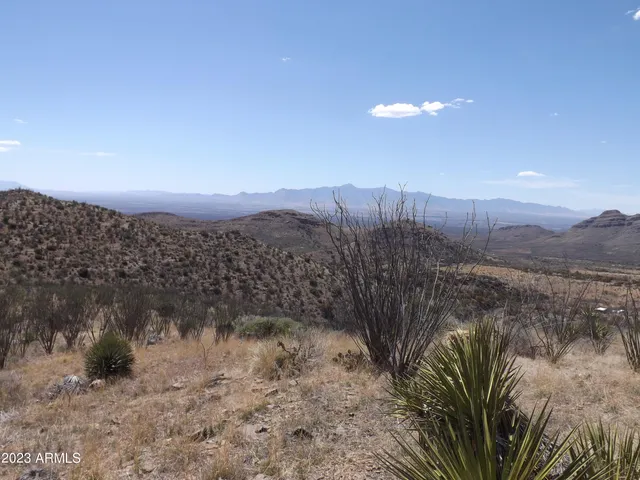 a view of a back yard