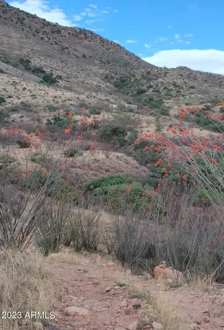 a view of a dry field
