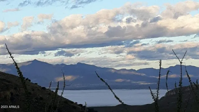 a view of a backyard of the house