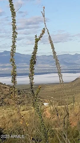 a view of a yard covered in snow