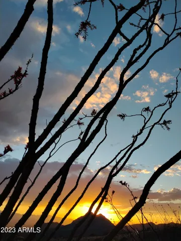 a view of a backyard of a house