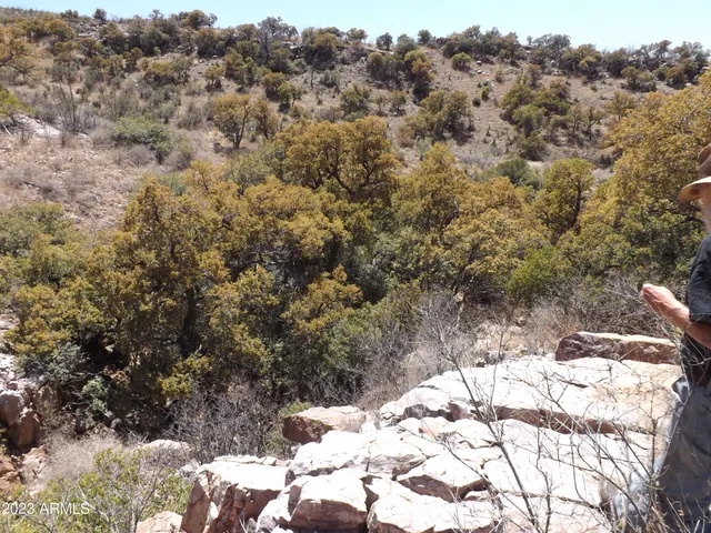 a view of covered with snow