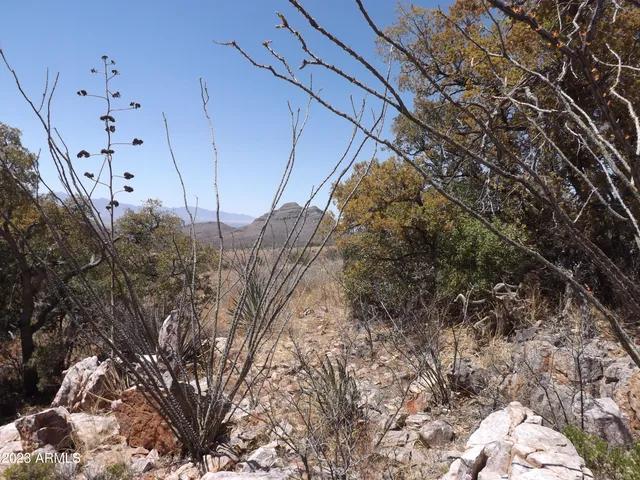 a view of a backyard of the house