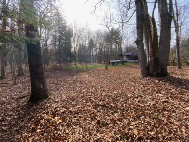 342 Awosting Road Pine Bush, NY 12566 - Photo 4 of 21 a backyard of a house with lots of green space