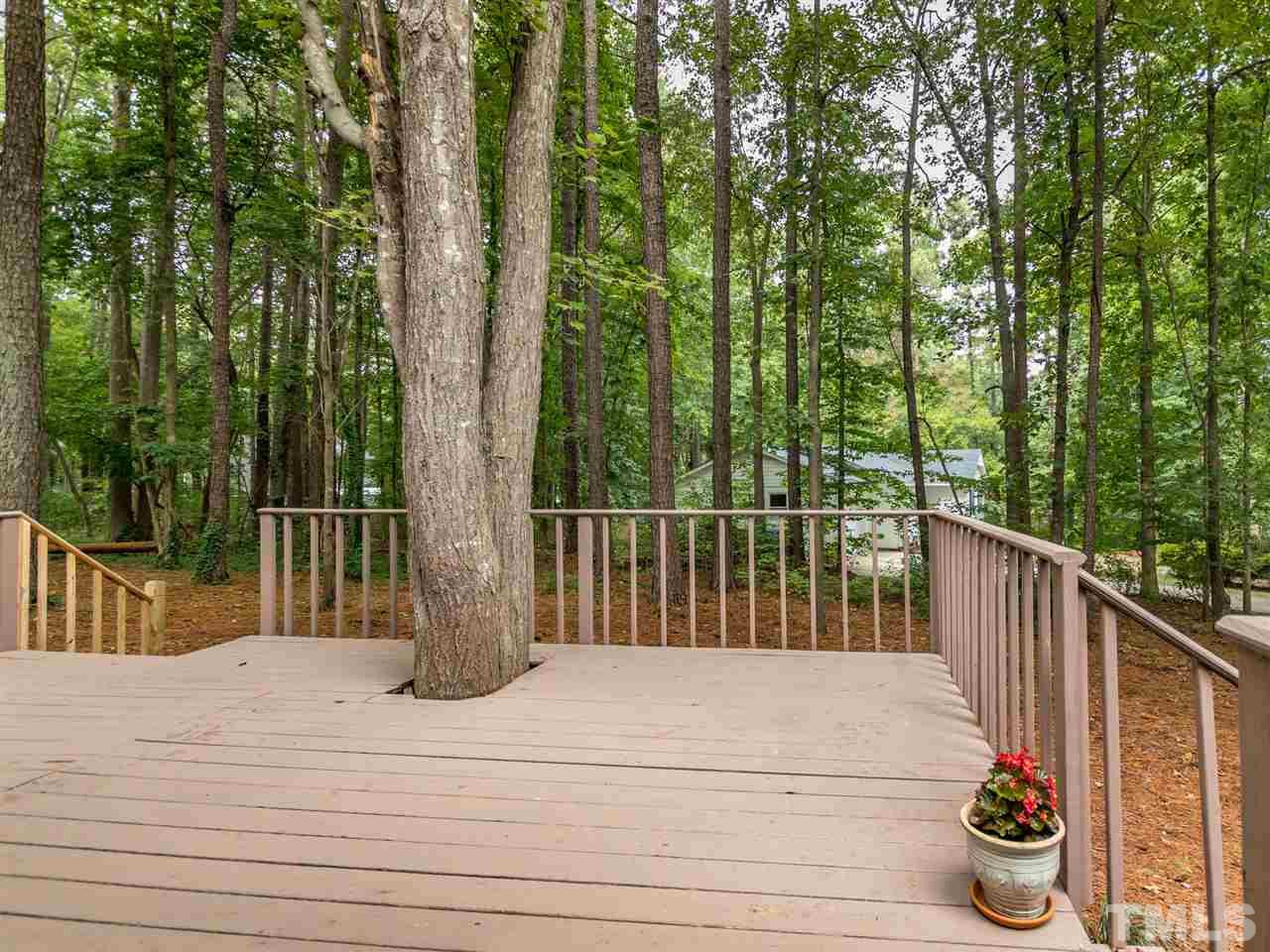 8701 Brandon Station Road Raleigh, NC 27613 - Photo 27 of 30 Also a great place to relax and take in all the seasons.