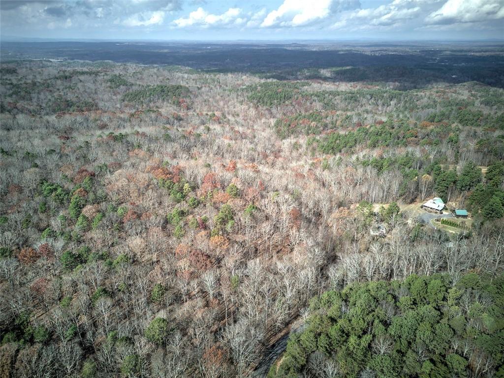 1252 Paris Mountain Road Rockmart, GA 30153 - Photo 3 of 93