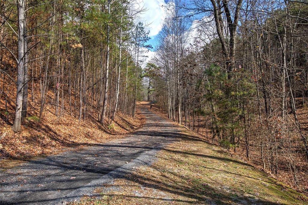 1252 Paris Mountain Road Rockmart, GA 30153 - Photo 38 of 93