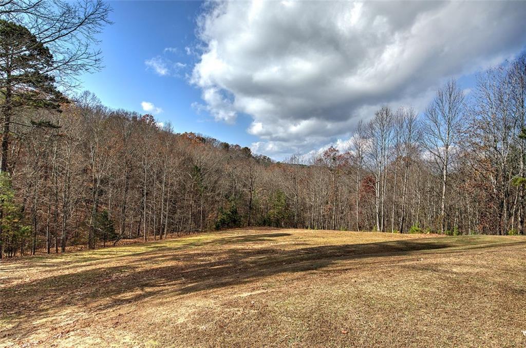 1252 Paris Mountain Road Rockmart, GA 30153 - Photo 49 of 93