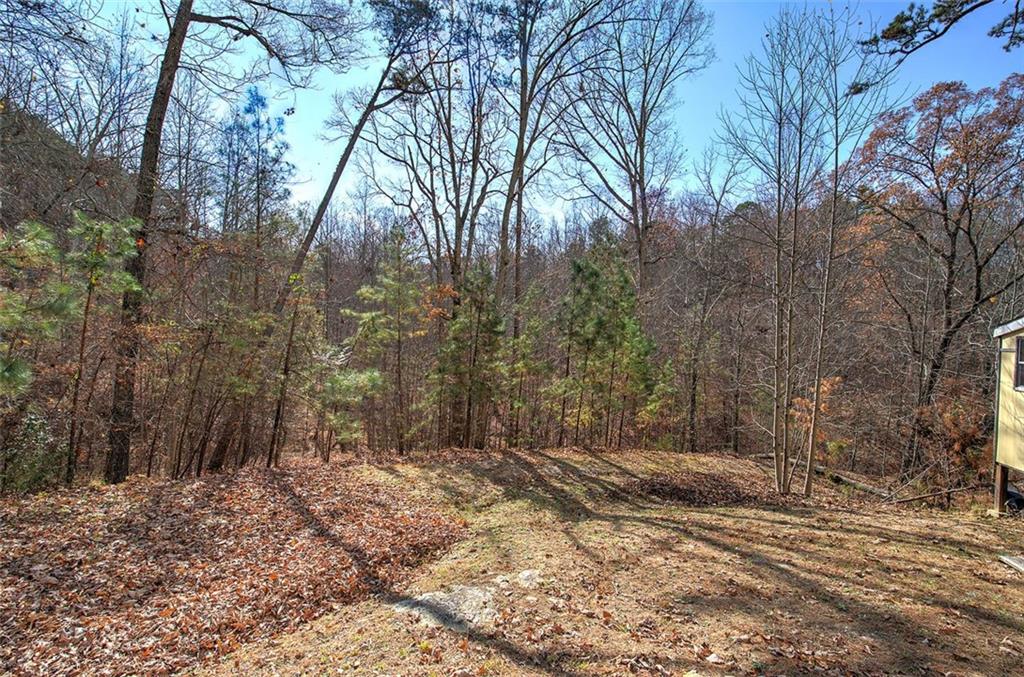 1252 Paris Mountain Road Rockmart, GA 30153 - Photo 52 of 93 a view of a yard with trees