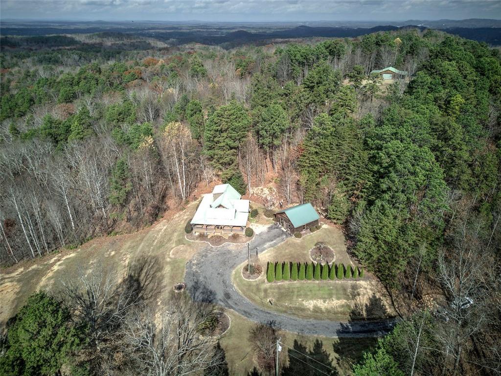 1252 Paris Mountain Road Rockmart, GA 30153 - Photo 56 of 93