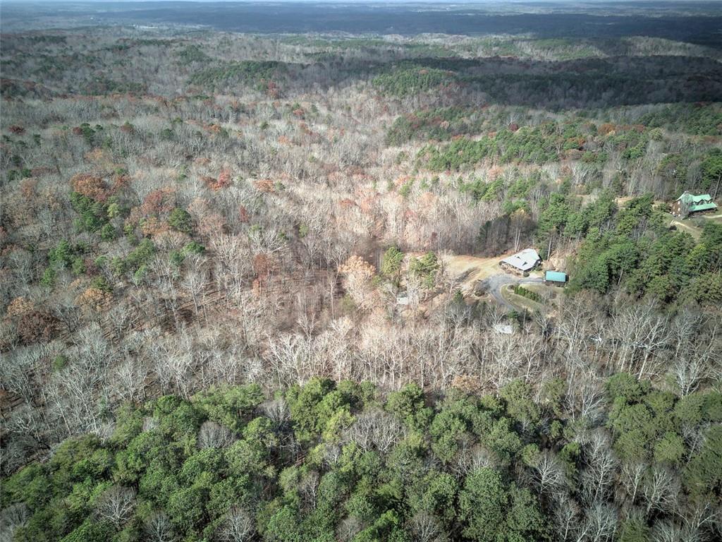 1252 Paris Mountain Road Rockmart, GA 30153 - Photo 57 of 93 a view of a yard with a tree
