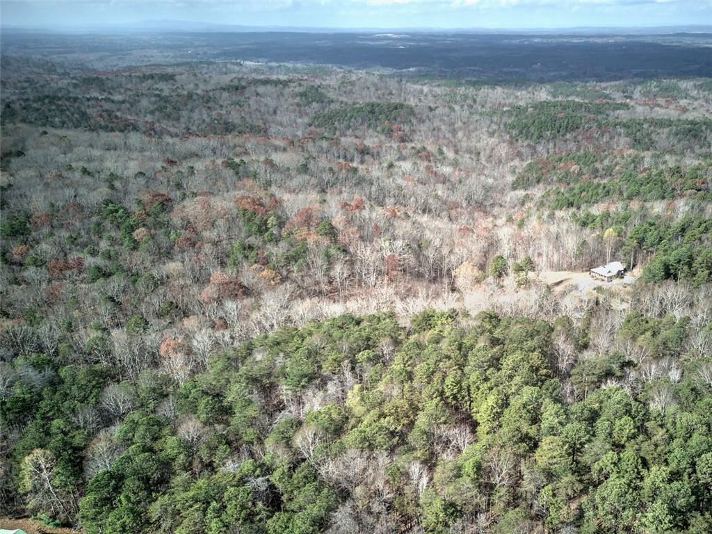 1252 Paris Mountain Road Rockmart, GA 30153 - Photo 60 of 93