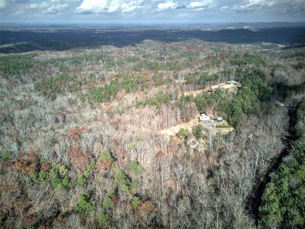 1252 Paris Mountain Road Rockmart, GA 30153 - Photo 61 of 93