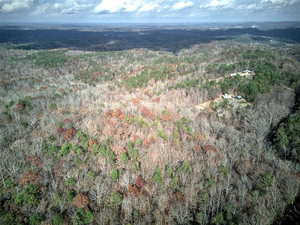 1252 Paris Mountain Road Rockmart, GA 30153 - Photo 62 of 93