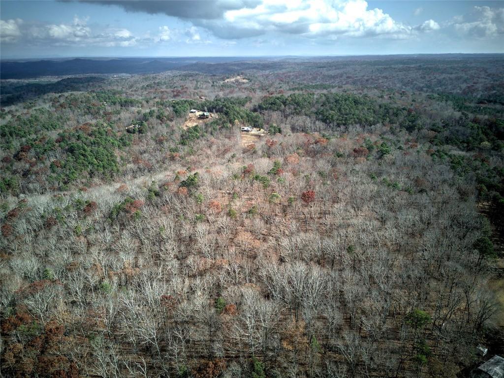 1252 Paris Mountain Road Rockmart, GA 30153 - Photo 64 of 93