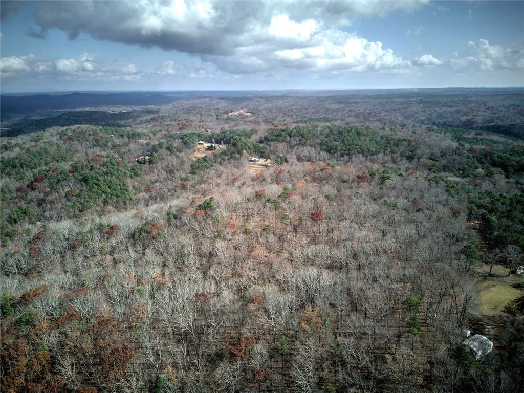 1252 Paris Mountain Road Rockmart, GA 30153 - Photo 65 of 93