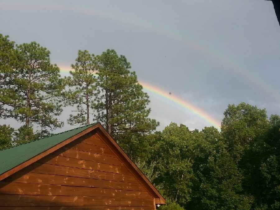 1252 Paris Mountain Road Rockmart, GA 30153 - Photo 68 of 93