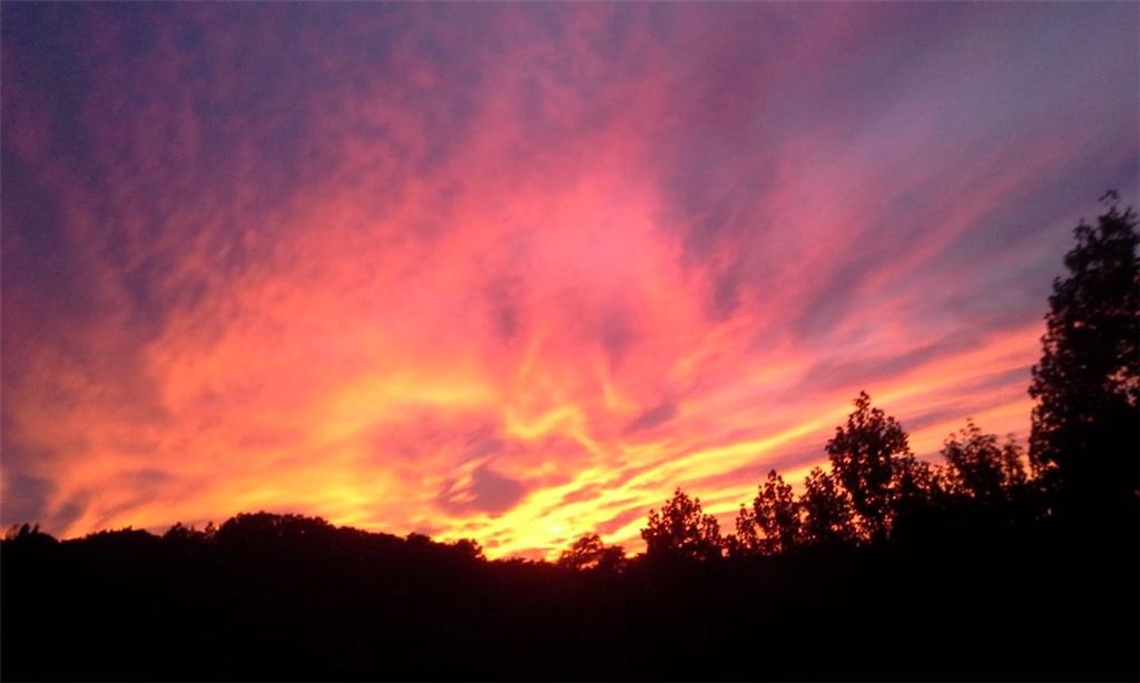 1252 Paris Mountain Road Rockmart, GA 30153 - Photo 71 of 93