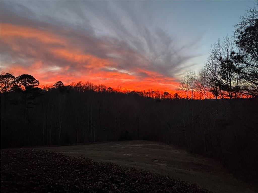 1252 Paris Mountain Road Rockmart, GA 30153 - Photo 72 of 93