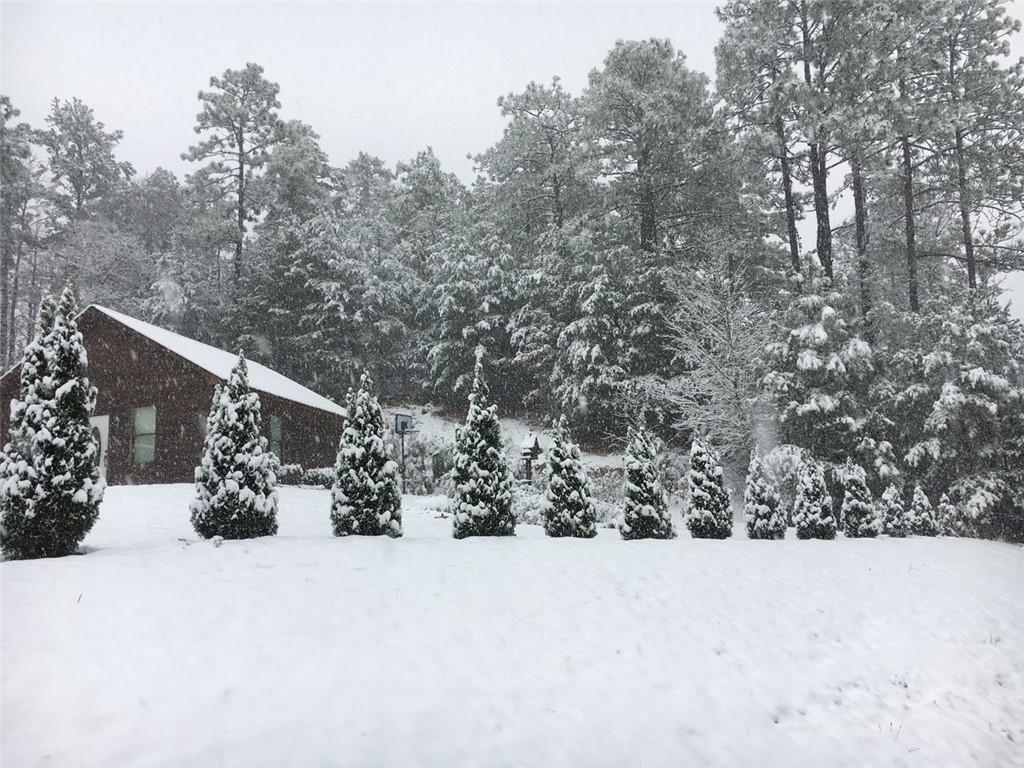 1252 Paris Mountain Road Rockmart, GA 30153 - Photo 74 of 93 a view of outdoor space and covered with trees