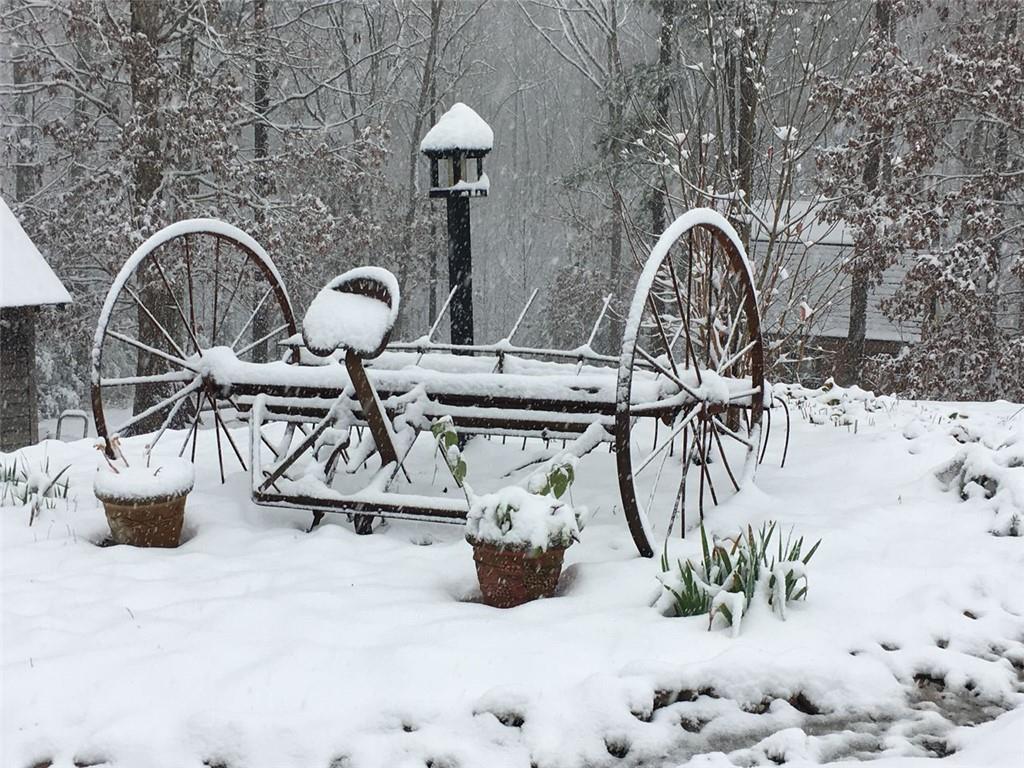 1252 Paris Mountain Road Rockmart, GA 30153 - Photo 75 of 93