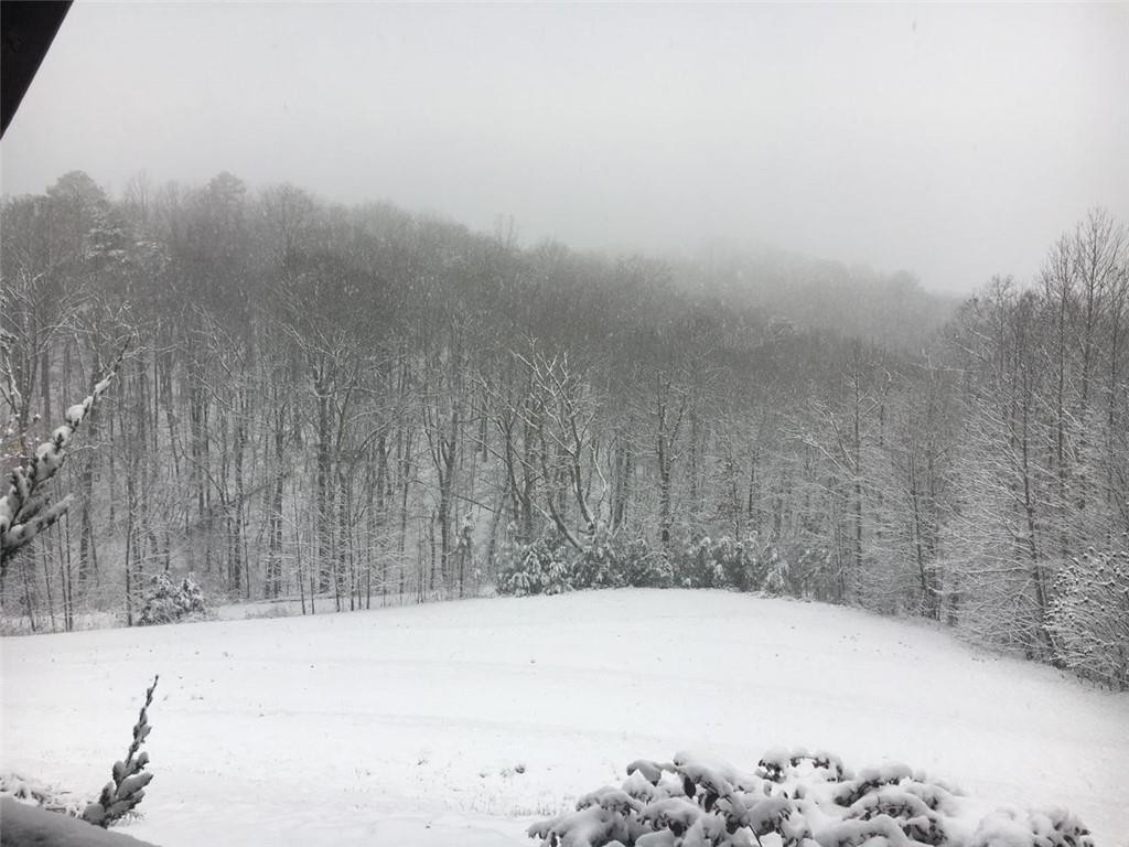 1252 Paris Mountain Road Rockmart, GA 30153 - Photo 76 of 93