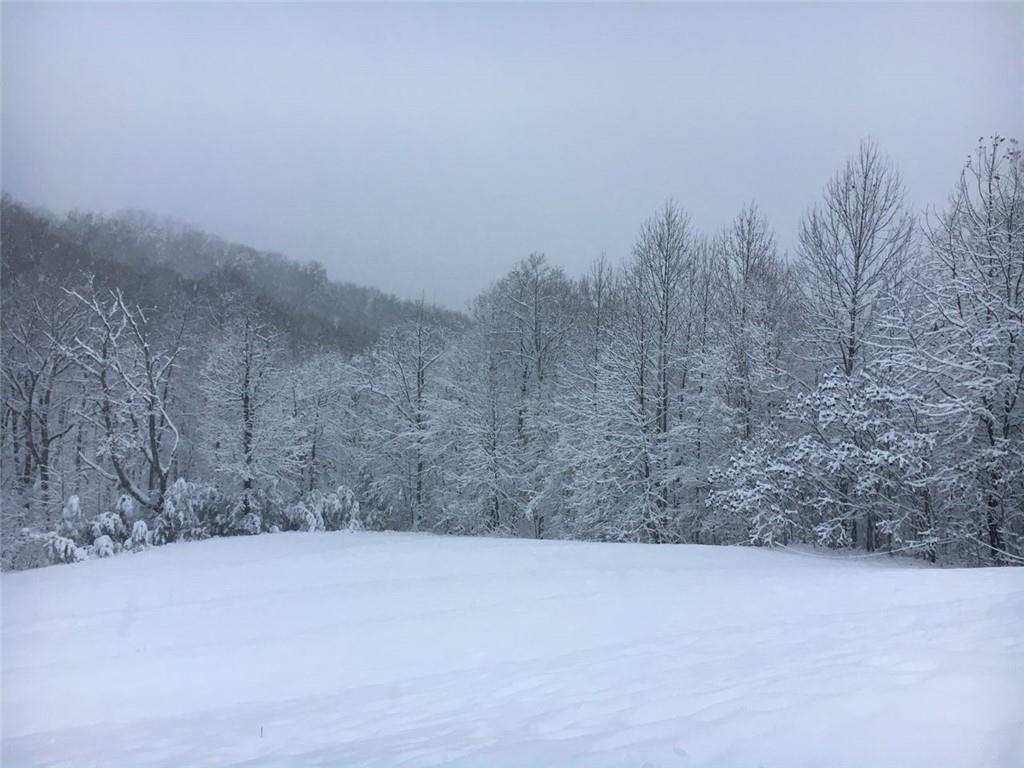 1252 Paris Mountain Road Rockmart, GA 30153 - Photo 77 of 93