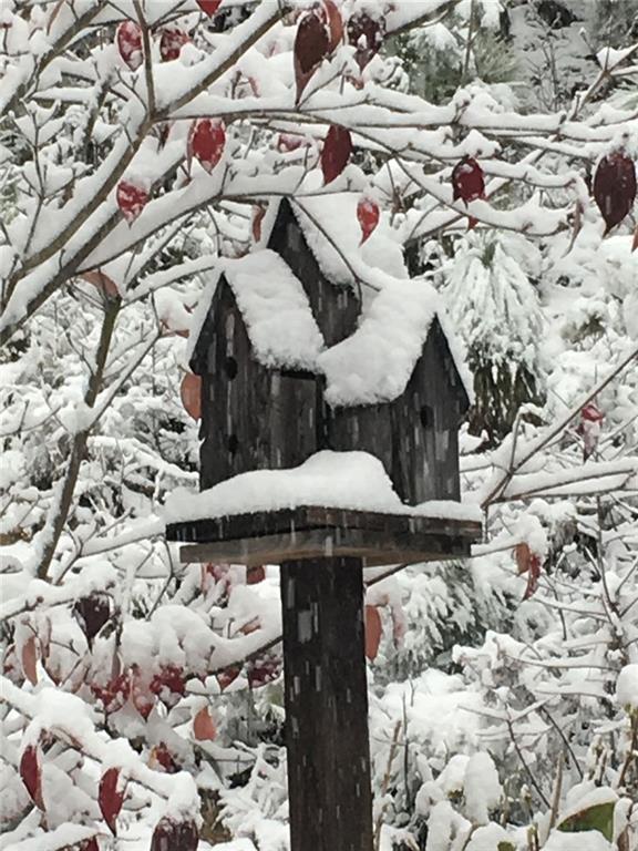 1252 Paris Mountain Road Rockmart, GA 30153 - Photo 78 of 93