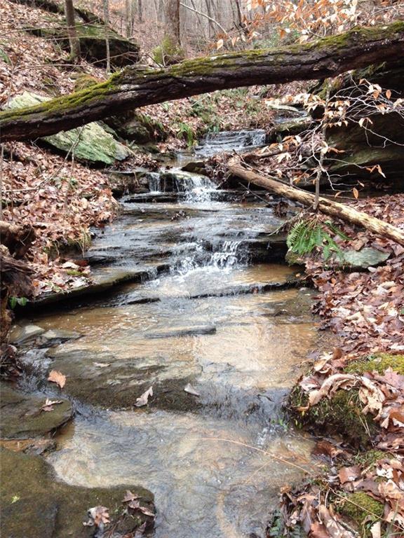 1252 Paris Mountain Road Rockmart, GA 30153 - Photo 82 of 93 a view of a lake view