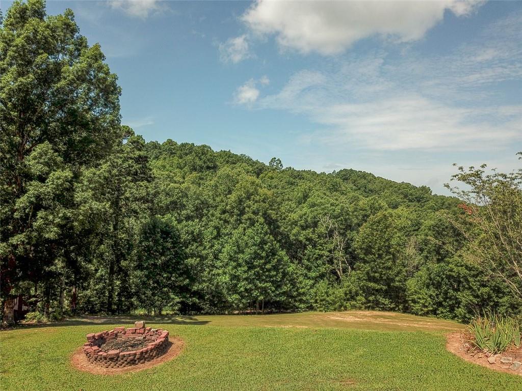 1252 Paris Mountain Road Rockmart, GA 30153 - Photo 85 of 93 a view of a yard