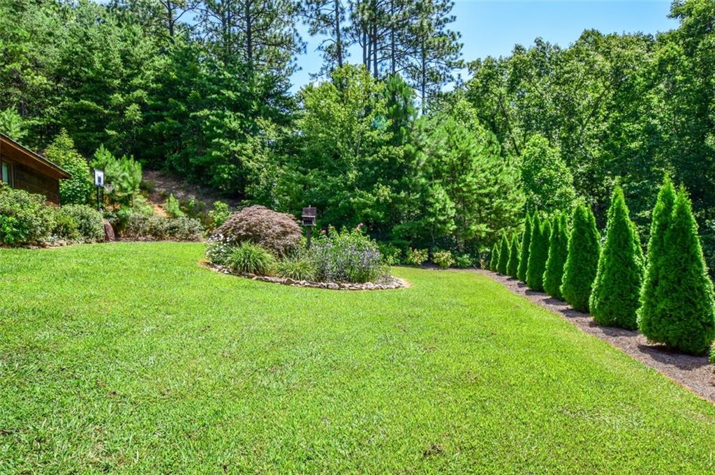 1252 Paris Mountain Road Rockmart, GA 30153 - Photo 87 of 93