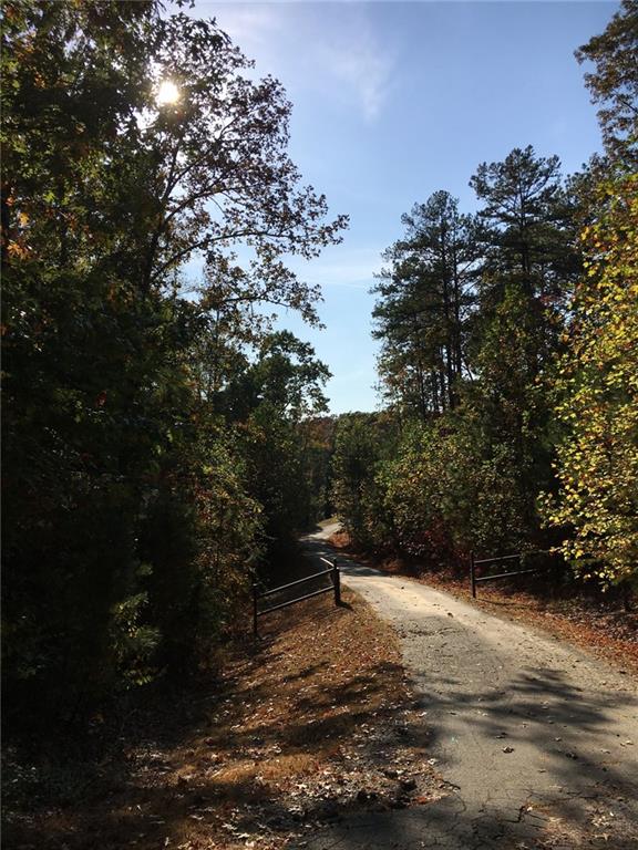 1252 Paris Mountain Road Rockmart, GA 30153 - Photo 88 of 93 a view of outdoor space and yard